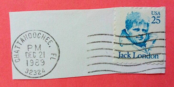 Issue:    US Jack London 1989 Stamp Type:   Stamp Number of Stamps:   1 Stamps Denomination:   25C Issue Date:   1989 Issued By:   United States Postal Service (USPS)