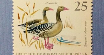 Issue:   Germany Greylag Goose Stamp Type:   Stamp Number of Stamps:   2 Denominations:   25  PF Issue Date:   1968 Issued By:   Germany Deutsche Post ( Deutschland )