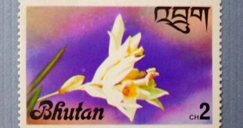 Issue:    Bhutan Will Be 1874 1974 Centenary of The Universal Postal Union Stamp Type:    Stamp Number of Stamps:   1 Denominations:   2 C H, Issue Date:    1976 Issued By:    Bhutan Post