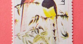 Issue:    Bhutan Ward's Trogon 1968 Stamp Type:    Stamp Number of Stamps:   1 Denominations:   3 C H, Issue Date:    1968 Issued By:    Bhutan Post 