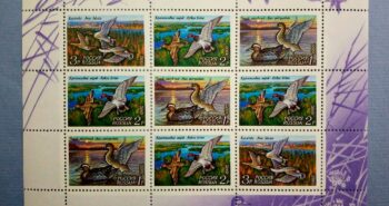 Issue:   Russia 1992 Mint Year Ducks Mini Stamp Type:    Mini Sheet Number of Stamps:    Stamps Denomination:    1P, 2P, 3P,  Issue Date:    1992 Issued By:   Russia POST 