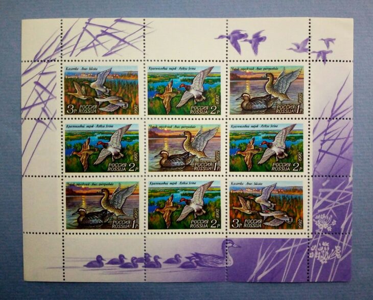 Issue:   Russia 1992 Mint Year Ducks Mini Stamp Type:    Mini Sheet Number of Stamps:    Stamps Denomination:    1P, 2P, 3P,  Issue Date:    1992 Issued By:   Russia POST 