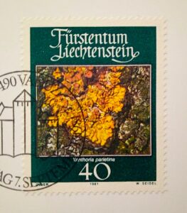 Liechtenstein Xanthoria Parietina 1981 Postcard