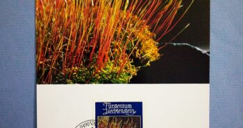 Issue:    Liechtenstein 1981 Amblystegium Serpens FDC Postcard Type:    (FDC) Postcard Number of Stamps:    2 Denominations:    80 CHF Issue Date:    1981 Issued By:    Europe Post 