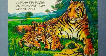 Issue:   Russia Mint Year 1992 Tiger Mini sheet Type:   Stamp Number of Stamps:    1 Stamps Denomination:    3.50 P Issue Date:   1992 Issued By:   Russia POST 