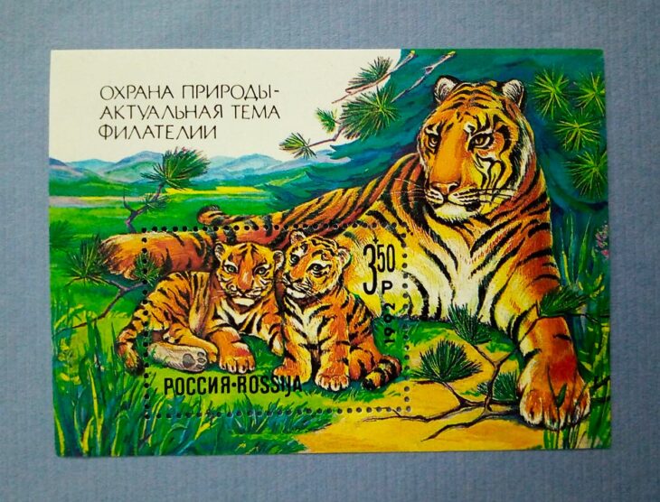 Issue:   Russia Mint Year 1992 Tiger Mini sheet Type:   Stamp Number of Stamps:    1 Stamps Denomination:    3.50 P Issue Date:   1992 Issued By:   Russia POST 