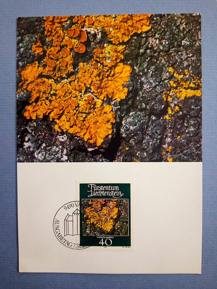 Issue:    Liechtenstein Xanthoria Parietina 1981 Postcard Type:    Postcard Number of Stamps:    2 Denominations:    40 y Issue Date:    1981 Issued By:     Europe Post 