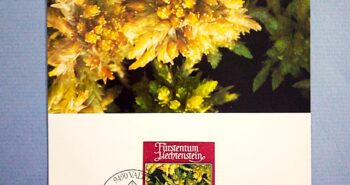 Issue:    Liechtenstein 1981 Sphagnum Palustre FDC Postcard Type:    Postcard Number of Stamps:    1 Denominations:    70 CHF Issue Date:    1981 Issued By:    Europe Post 