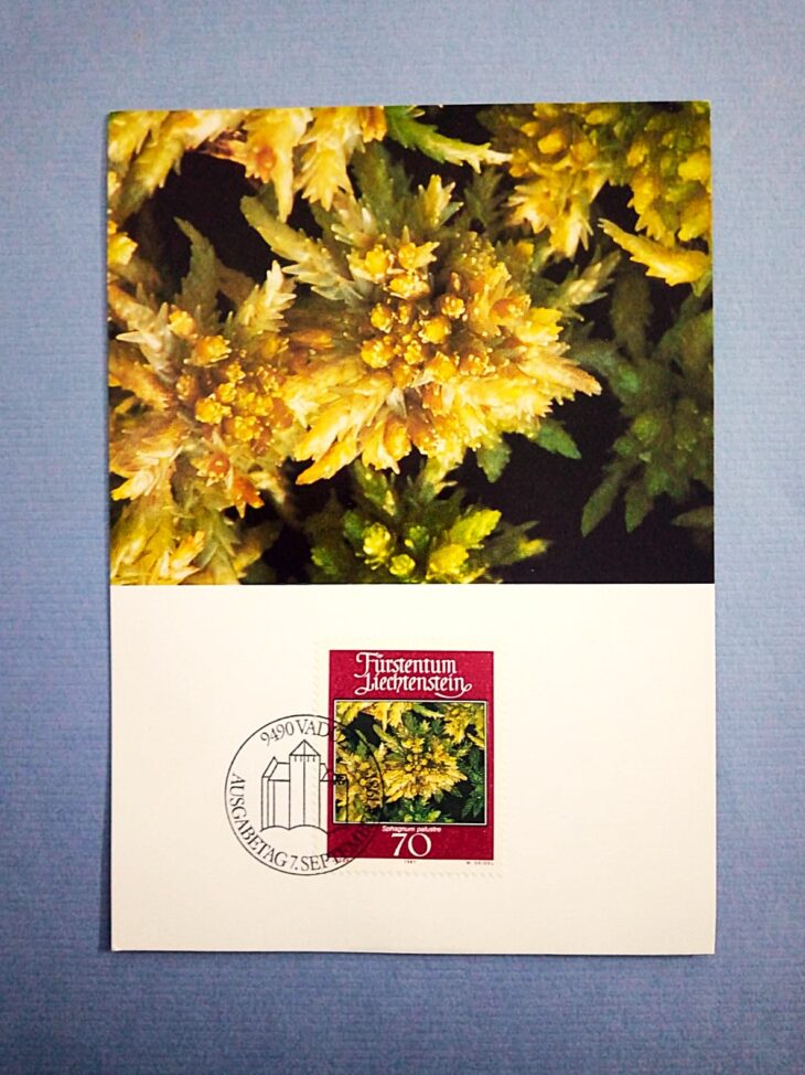 Issue:    Liechtenstein 1981 Sphagnum Palustre FDC Postcard Type:    Postcard Number of Stamps:    1 Denominations:    70 CHF Issue Date:    1981 Issued By:    Europe Post 