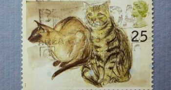 Issue:    UK  1995 Tabby and Siamese Cat Stamp Type:    Stamp Number of Stamps:     4 Stamps Denomination:     25 P Issue Date:     1995 Issued By:    Royal Mail, United Kingdom