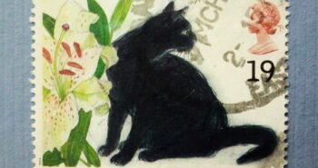 Issue:    UK 1995 Black Cat Stamp Type:    Stamp Number of Stamps:     6 Stamps Denomination:     19 P Issue Date:     1995 Issued By:    Royal Mail, United Kingdom 