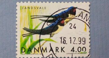 Issue:     Denmark Swallow 1999 Stamp Type:     Stamp Number of Stamps:     1 Stamps Denomination:     4.00 DKK Issue Date:      1999 Issued By:     Denmark Post 