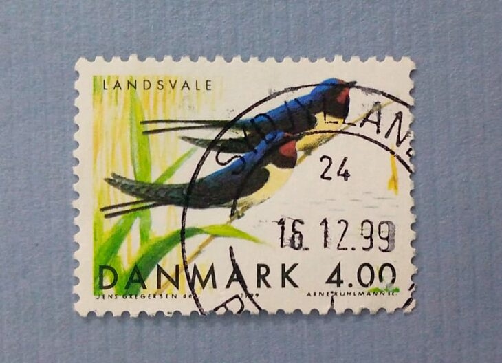Issue:     Denmark Swallow 1999 Stamp Type:     Stamp Number of Stamps:     1 Stamps Denomination:     4.00 DKK Issue Date:      1999 Issued By:     Denmark Post 
