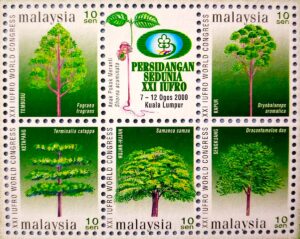Malaysia Forests and Society the Role of Research Mini Sheet