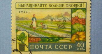 Issue:    Russia Grow More Vegetables 1954 Stamp Type:    Stamp Number of Stamps:      1 Stamps Denomination:      40 Kon Issue Date:      1954 Issued By:     Russia POST 