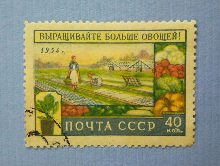 Issue:    Russia Grow More Vegetables 1954 Stamp Type:    Stamp Number of Stamps:      1 Stamps Denomination:      40 Kon Issue Date:      1954 Issued By:     Russia POST 