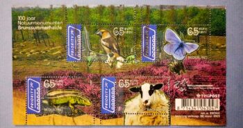 Issue:     Netherland 2005 Year of Nature Monuments at Brunssummerheide Mini Sheet Type:      Souvenir Sheet Number of Stamps:     4 Stamps Denomination:      65C,  65C,  65C,  65C, Issue Date:      2005 Issued By:     Netherland Post 