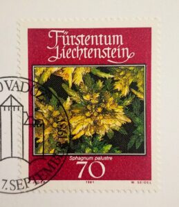 Liechtenstein 1981 Sphagnum Palustre FDC Postcard