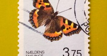 Issue:     Denmark Butterfly 1993 Stamp Type:     Stamp Number of Stamps:     1 Stamps Denomination:         3.75  DKK, Issue Date:      1993 Issued By:     Denmark Post 