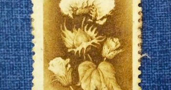 Issue:     India Cotton Plant Stamp Type:     Stamp Number of Stamps:      1 Stamps Denomination:      100 P, Issue Date:      1979 Issued By:     India POST 