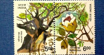 Issue:     India Parijat Tree 1997 Stamp Type:     Stamp Number of Stamps:      2 Stamps Denomination:      5 Rs,  6 Rs, Issue Date:      1997 Issued By:     India POST 