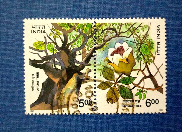 Issue:     India Parijat Tree 1997 Stamp Type:     Stamp Number of Stamps:      2 Stamps Denomination:      5 Rs,  6 Rs, Issue Date:      1997 Issued By:     India POST 
