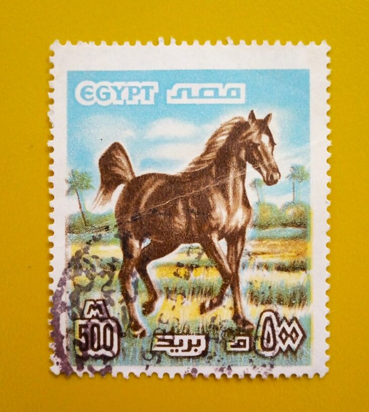 Issue:      Egypt 1985 Arabian Horse Stamp Type:      Stamp Number of Stamps:       1 Stamps Denomination:        500 M, Issue Date:       1985 Issued By:      Egypt Post 