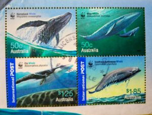 Australia Whales Down Under 2006 Souvenir Sheet