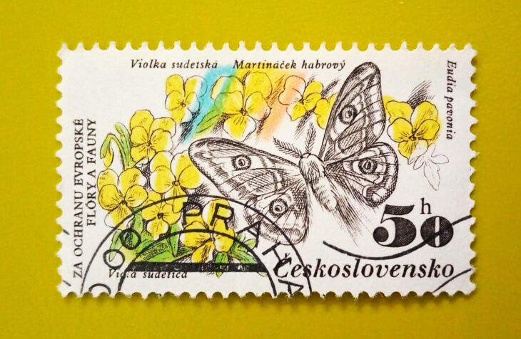 Issue:      Czechoslovakia Butterfly 1983 Stamp Type:      Stamp Number of Stamps:     1 Stamps Denomination:      50 H, Issue Date:      1983 Issued By:      Czechoslovakia Postal Service (USPS) 