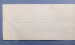 Mauritius Palmiste Marron Hyophorbe Verschaffeltii First Day Cover