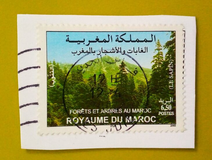 Issue:      Morocco Forests and Trees 2003 Stamp Type:      Stamp Number of Stamps:       1 Stamps Denomination:       6.50  MAD  د.م Issue Date:        2003 Issued By:      Morocco Post 