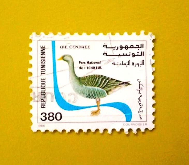 Issue:     Tunisia Ishkul National Park Greylag Goose Stamp Type:     Stamp Number of Stamps:     2 Stamps Denomination:     380 Issue Date:      Issued By:     Tunisia Post 