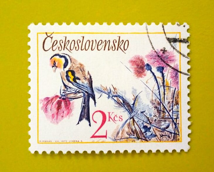 Issue:      Czechoslovakia Goldfinch Bird 1972 Stamp Type:      Stamp Number of Stamps:       1 Stamps Denomination:       2 KCS, Issue Date:        1972 Issued By:      Czechoslovakia Postal Service (USPS)