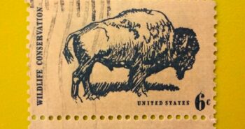 Issue:     USA Wildlife Conservation 1970 Stamp Type:     Stamp Number of Stamps:     1 Stamps Denomination:     6 C Issue Date:      1970 Issued By:     United States Postal Service (USPS)  