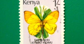 Issue:      Kenya Butterfly 1988 Stamp Type:     Stamp Number of Stamps:      1 Stamps Denomination:       1 /- Issue Date:       1988 Issued By:      Kenya Post 
