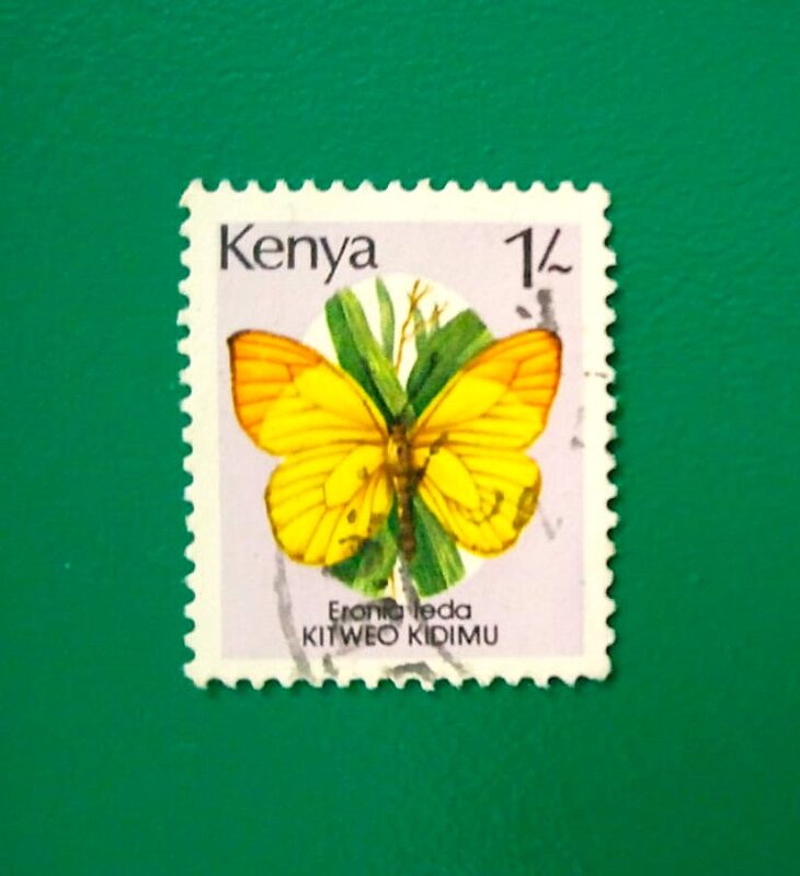 Issue:      Kenya Butterfly 1988 Stamp Type:     Stamp Number of Stamps:      1 Stamps Denomination:       1 /- Issue Date:       1988 Issued By:      Kenya Post 