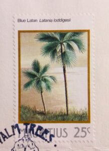 Mauritius Palmiste Marron Hyophorbe Verschaffeltii First Day Cover