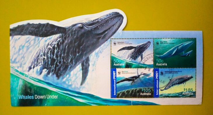 Issue:     Australia Whales Down Under 2006 Souvenir Sheet Type:      Souvenir Sheet Number of Stamps:     5 Denominations:        50C,   50C,  1.25 $,  1.85 $,     Issue Date:        2006 Issued By:     Australia Post 