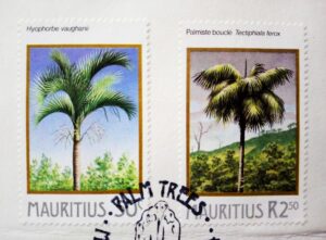 Mauritius Palmiste Marron Hyophorbe Verschaffeltii First Day Cover