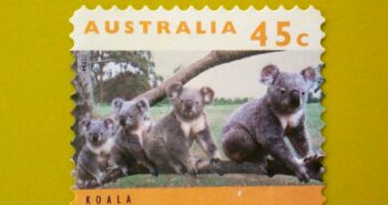 Issue:      Australian Koala 1994 Stamp Type:     Stamp Number of Stamps:      7 Stamps Denomination:      45 C, Issue Date:       1994 Issued By:     Australia Post 
