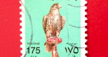 Issue:      United Arab Emirates Falcon 175 Fils Stamp Type:      Stamp Number of Stamps:       1 Stamps Denomination:        175 Fils Issue Date:      1990 Issued By:      Arab Emirates Post 