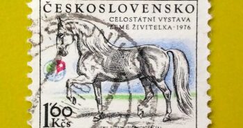 Issue:      Czechoslovakia National Exhibition of the Country Provider 1976 Stamp Type:      Stamp Number of Stamps:       1 Stamps Denomination:         160 Kcs, Issue Date:      1976 Issued By:      Czechoslovakia Postal Service (USPS) 