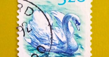 Issue:     Norway Swan Bird 1990 Stamp Type:     Stamp Number of Stamps:       1 Denominations:         3.20 K , Issue Date:        1990 Issued By:      Norway Post 