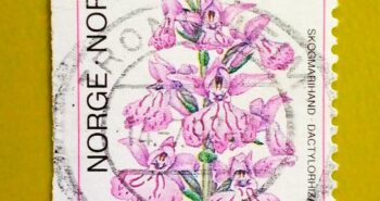 Issue:     Norway Forest Mari Hand Dactylorhiza Fuchsii 1990 Stamp Type:     Stamp Number of Stamps:       2 Denominations:         3.20 K Issue Date:       1990 Issued By:      Norway Post 