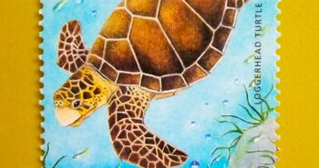 Issue:       New Zealand Loggerhead Sea Turtle Stamp Type:       Stamp Number of Stamps:       1 Stamps Denomination:       90 C, Issue Date:      2001 Issued By:       New Zealand POST 