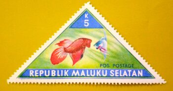 Issue:       Republic of South Maluku Tropical Fish Triangle Stamp Type:     Stamp Number of Stamps:      1 Stamps Denomination:        5 K, Issue Date:        1950_ 1954 Issued By:      Indonesia post 