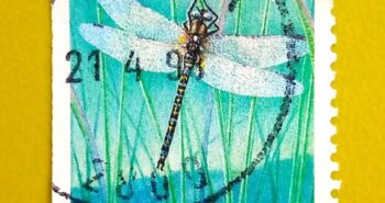 Issue:     Norway Dragonfly 1998 Stamp Type:     Stamp Number of Stamps:       1 Denominations:         3.80 K , Issue Date:        1998 Issued By:      Norway Post 