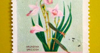 Issue:       Maluku Selatan Arundina Speciosa Stamp Type:       Stamp Number of Stamps:        1 Denominations:          4 K, Issue Date:         1954 Issued By:      Indonesia Post 