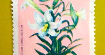 Issue:       Maluku Selatan Royal lily 2R Stamp Type:       Stamp Number of Stamps:        1 Denominations:          2 K, Issue Date:         1954 Issued By:      Indonesia Post 