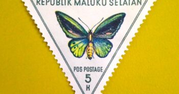 Issue:       Maluku Selatan Butterfly Triangle 5h Stamp Type:       Stamp Number of Stamps:        1 Denominations:          5 H, Issue Date:         1954 Issued By:      Indonesia Post 